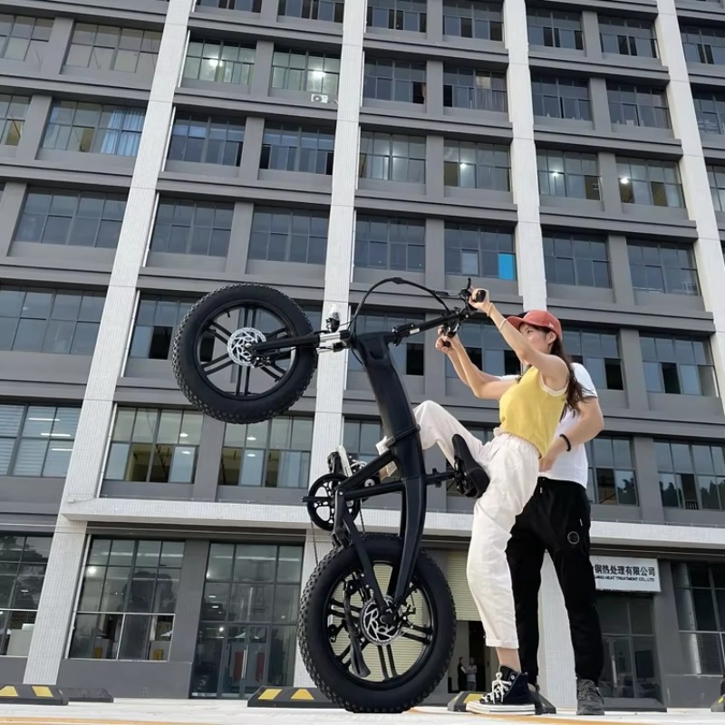 Bicicletta Pieghevole da Monta - Cycling Gear Cheap recensione e prezzo